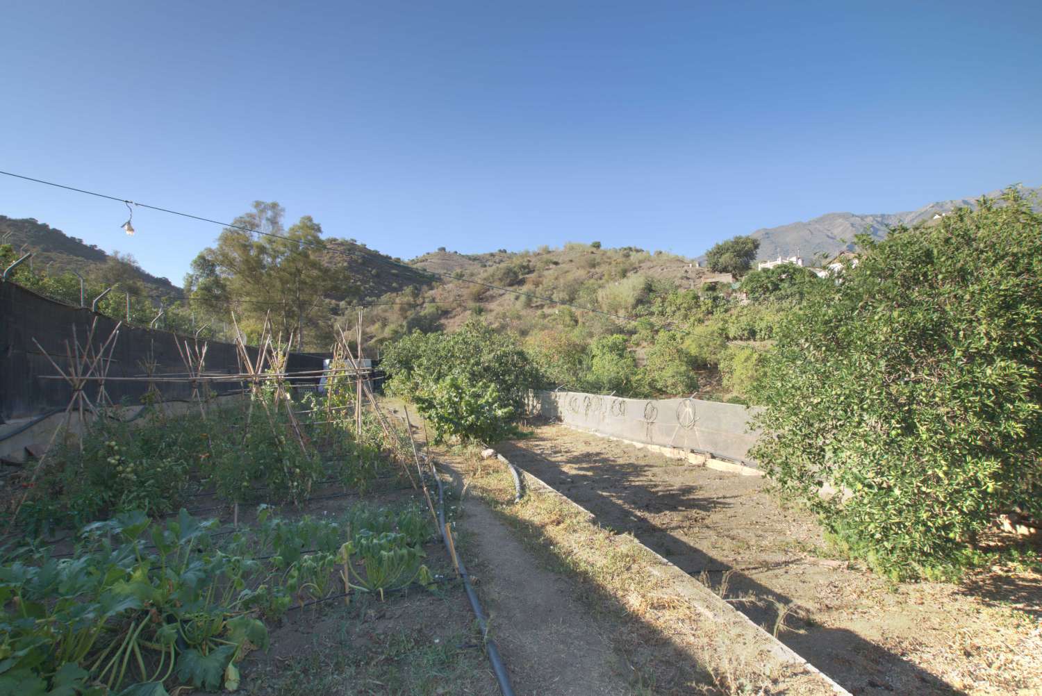 Grande maison de campagne à Canillas de Aceituno