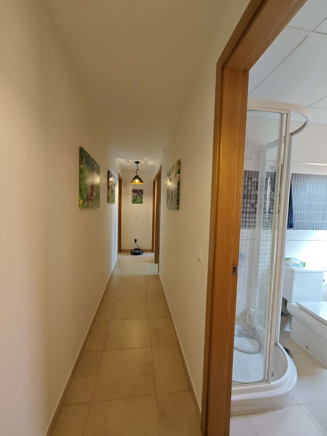 Prachtig duplex penthouse in Torre del Mar, Tomillar