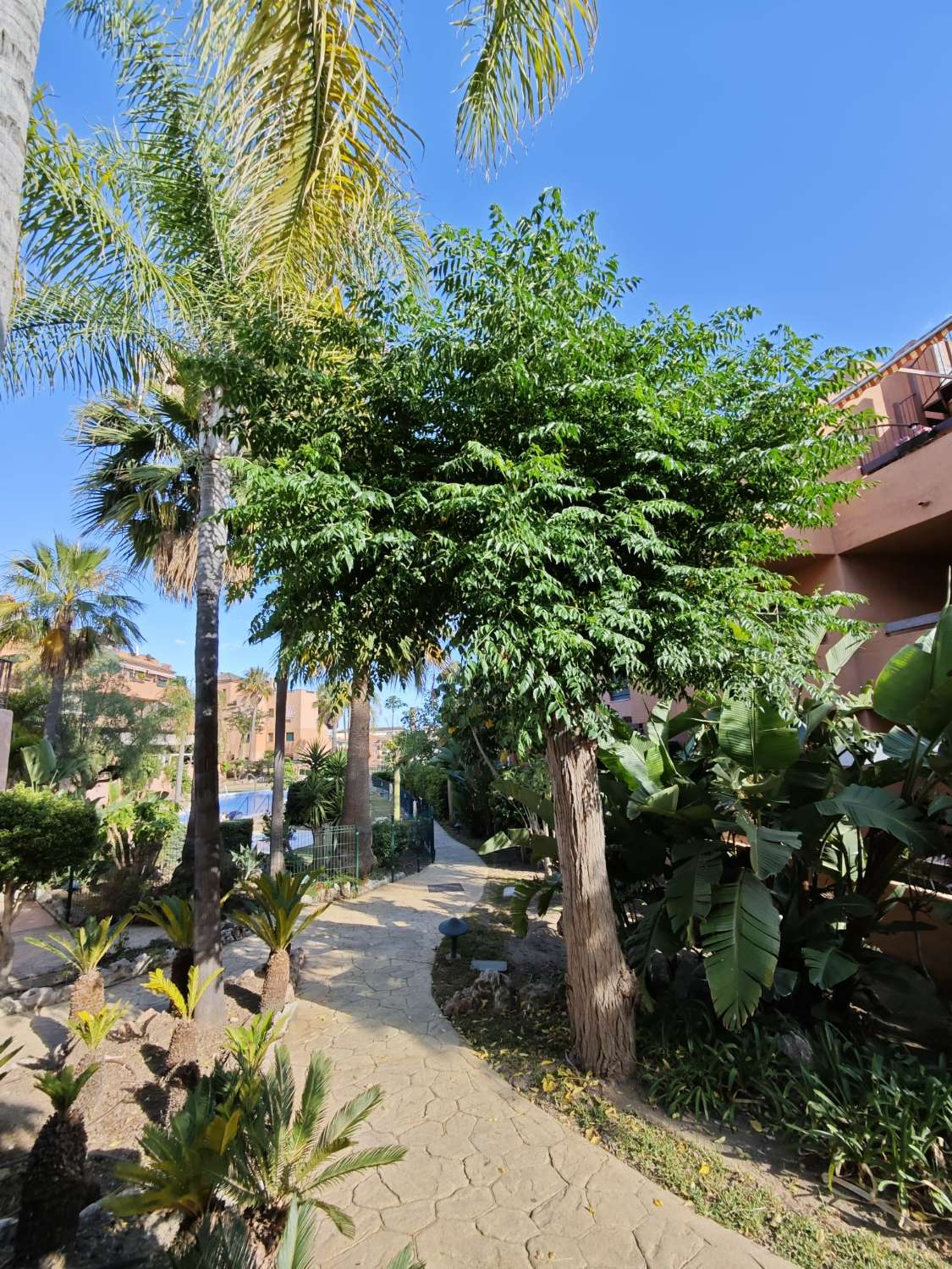 Storslået Duplex Penthouse i Torre del Mar, Tomillar