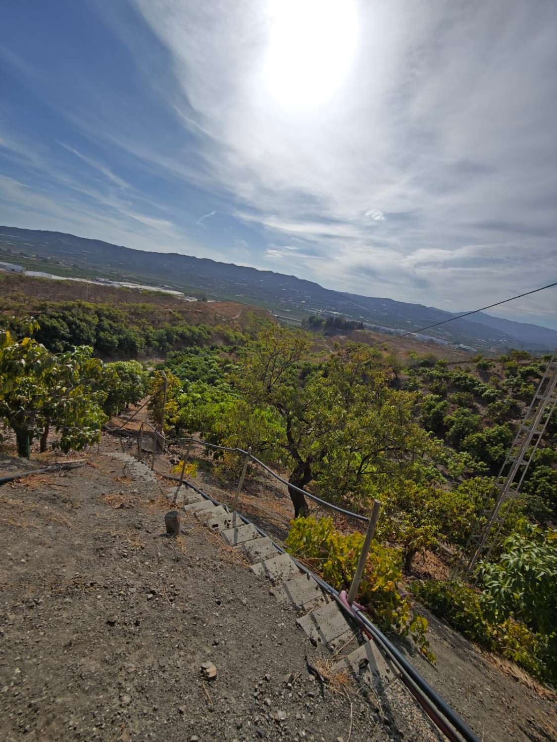 Finca rústica en venta en Cortijo Zamorano, Norte - Barrio del Pilar - El Reñidero