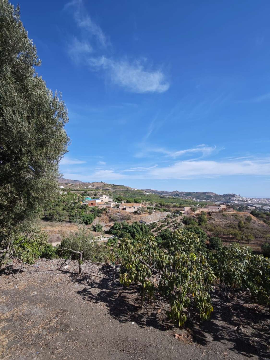 Finca rústica en venta en Cortijo Zamorano, Norte - Barrio del Pilar - El Reñidero