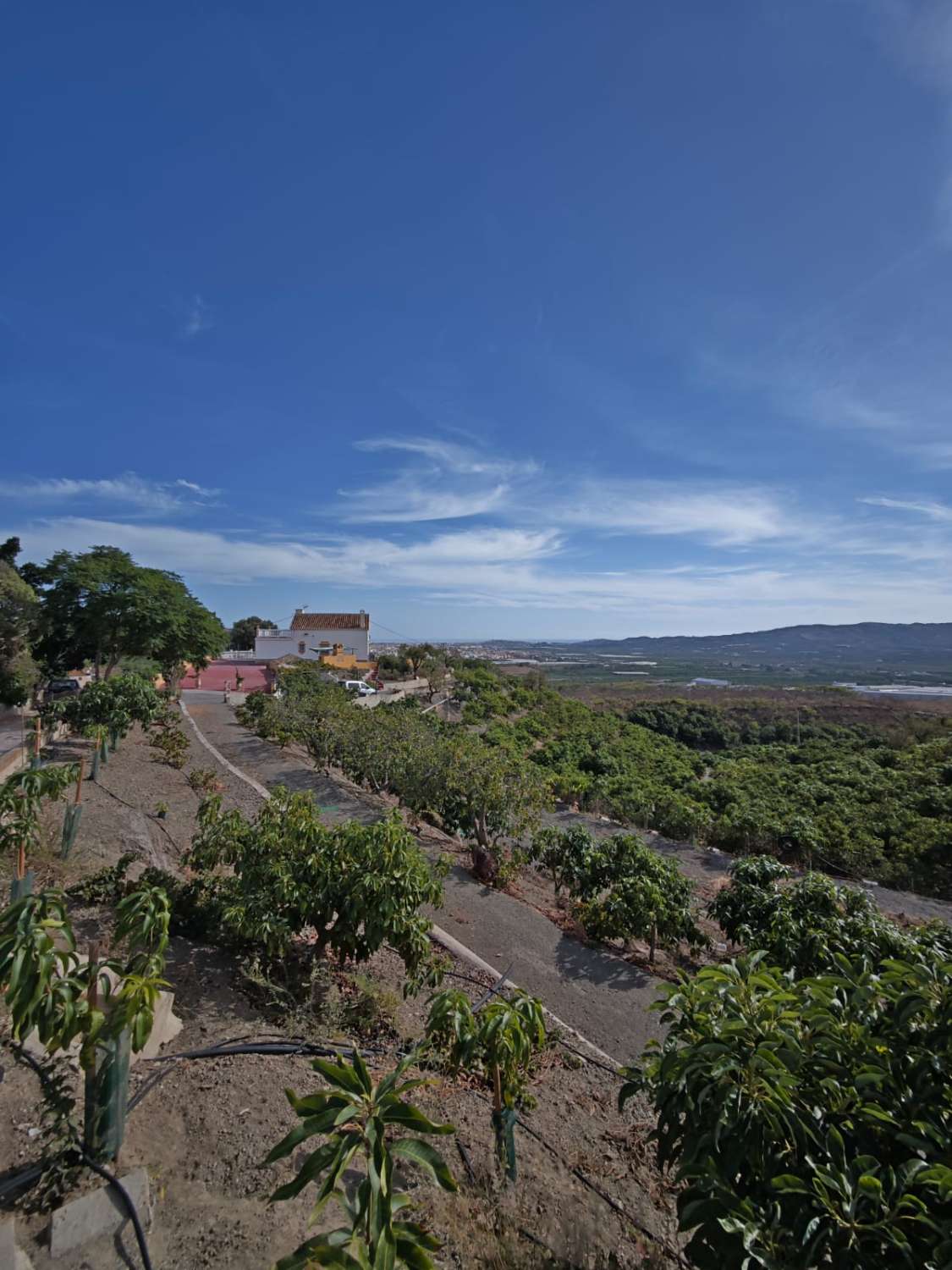 Finca rústica en venta en Cortijo Zamorano, Norte - Barrio del Pilar - El Reñidero