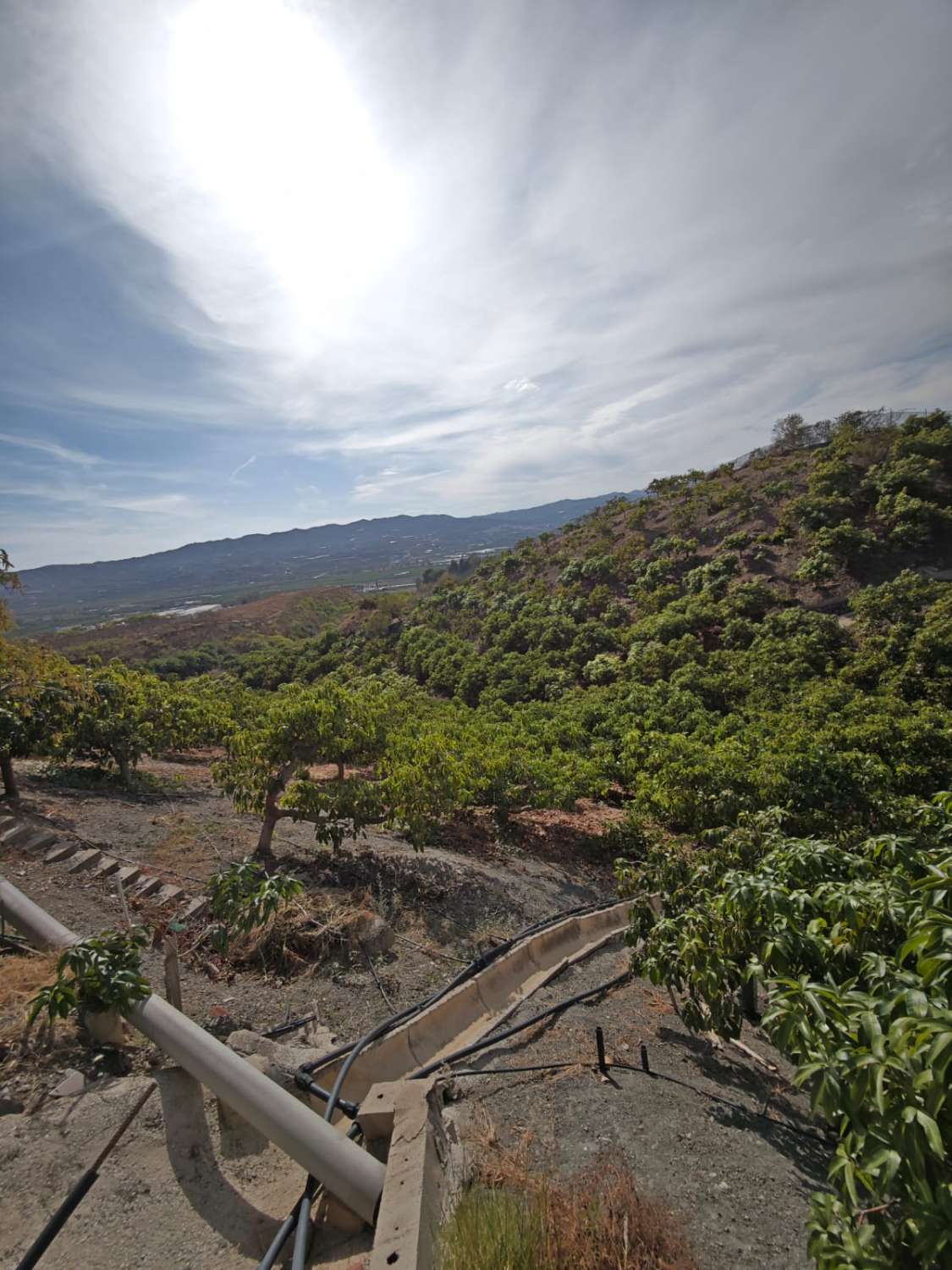 Finca rústica en venta en Cortijo Zamorano, Norte - Barrio del Pilar - El Reñidero