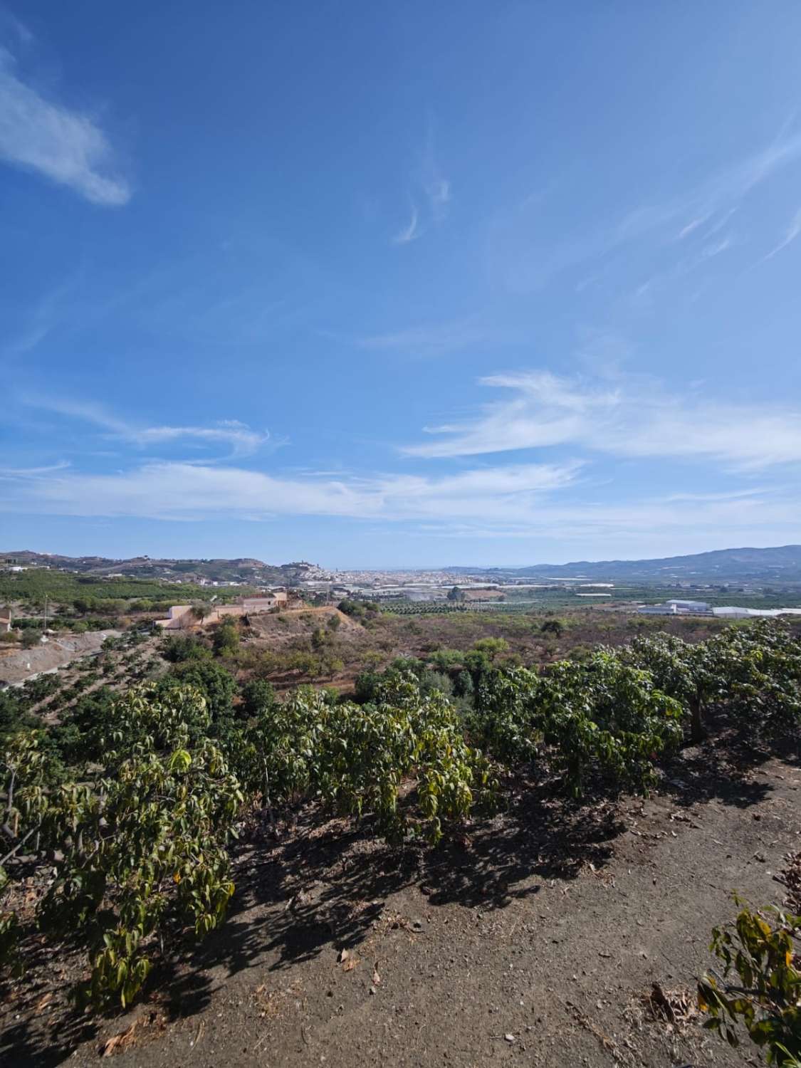 Finca rústica en venta en Cortijo Zamorano, Norte - Barrio del Pilar - El Reñidero