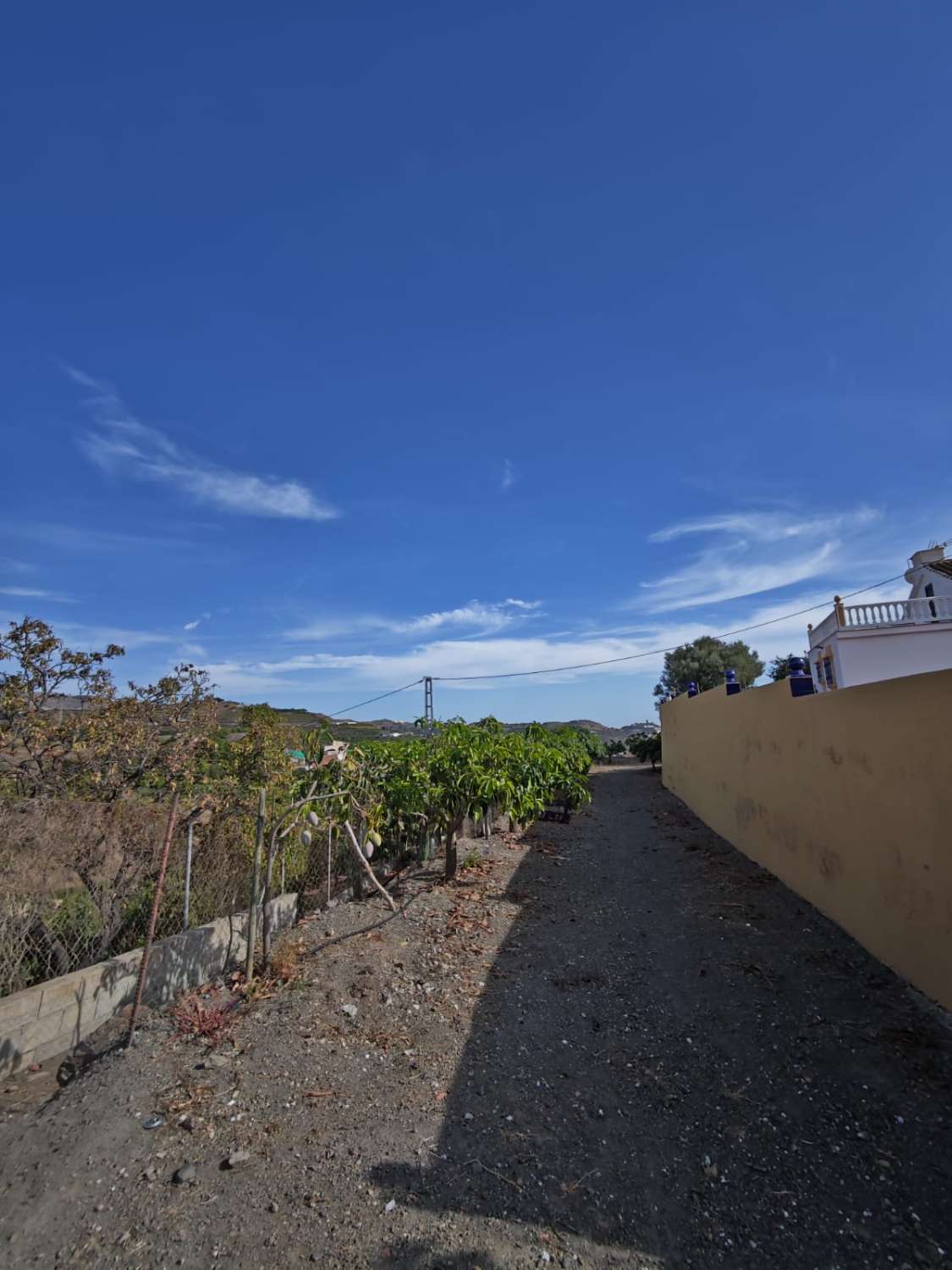 Finca rústica en venta en Cortijo Zamorano, Norte - Barrio del Pilar - El Reñidero